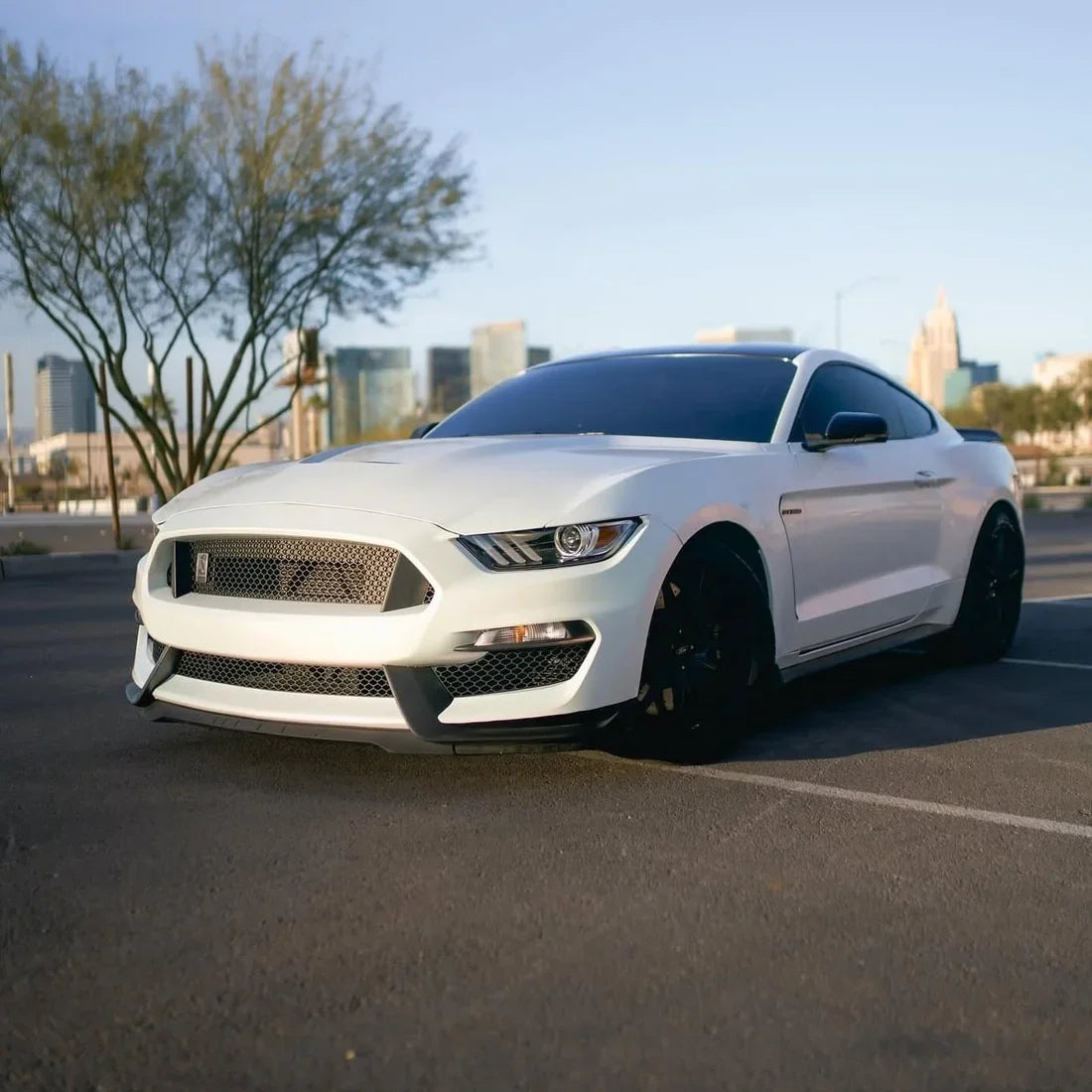 High-Gloss Chameleon Creamrose Pearl Vinyl Wrap mustang