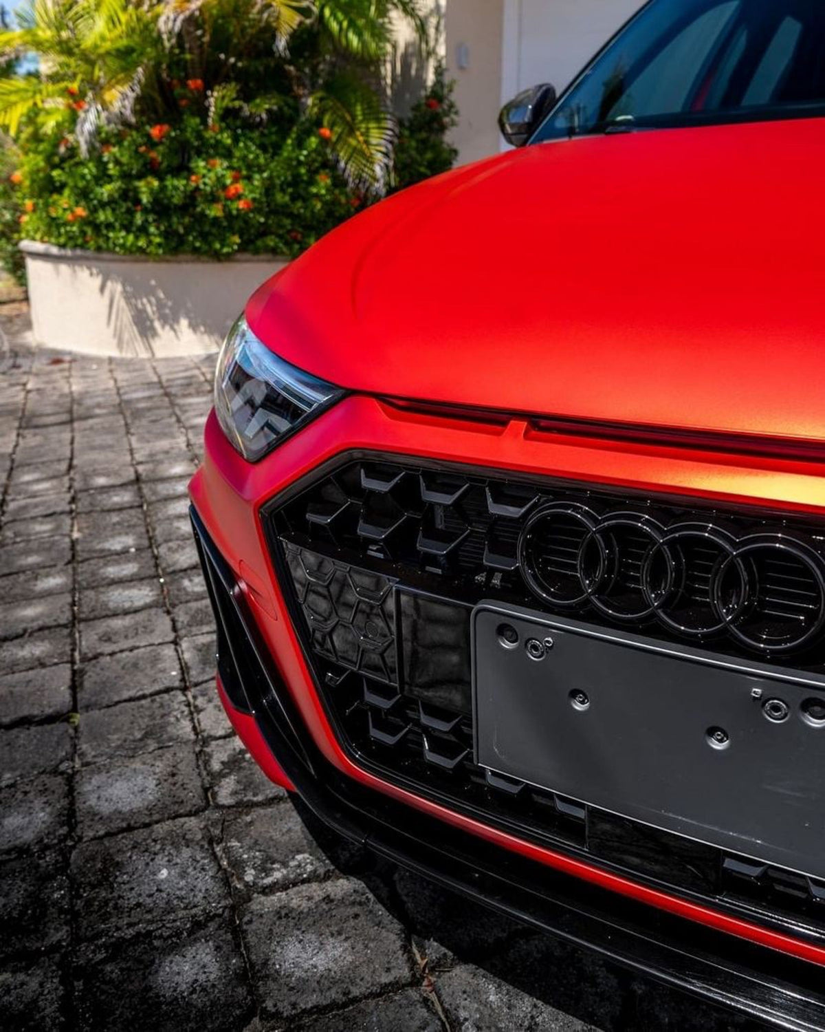 Glossy black grille front